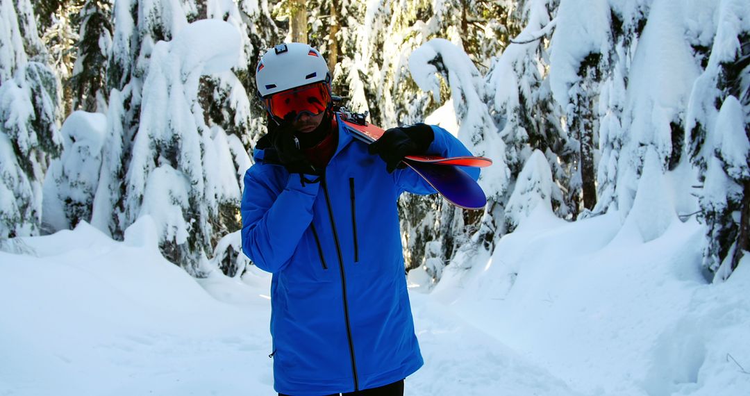 Skier Standing Among Snowy Trees in Winter Forest - Free Images, Stock Photos and Pictures on Pikwizard.com