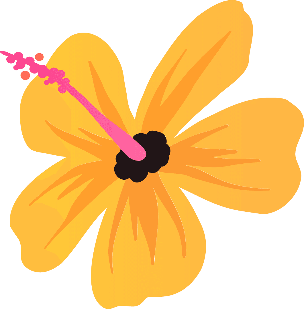 Yellow Hibiscus on Transparent Backdrop with Vibrant Pink Stamen