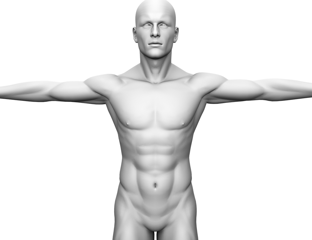 3D Digital Human Model with Outstretched Arms Isolated on Transparent Background - Download Free Stock Images Pikwizard.com