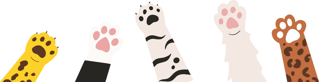 Colorful Animal Paws with Fur Patterns on Transparent Background