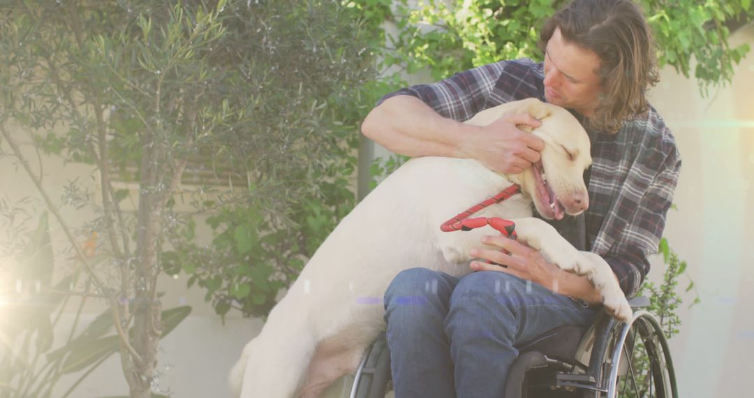 Man in Wheelchair Cuddling with Campanian Dog in Backyard - Free Images, Stock Photos and Pictures on Pikwizard.com