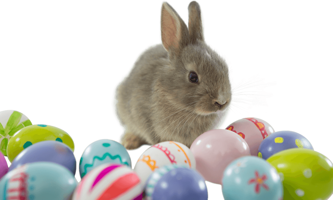 Cute Gray Bunny with Decorative Easter Eggs on Transparent Background
