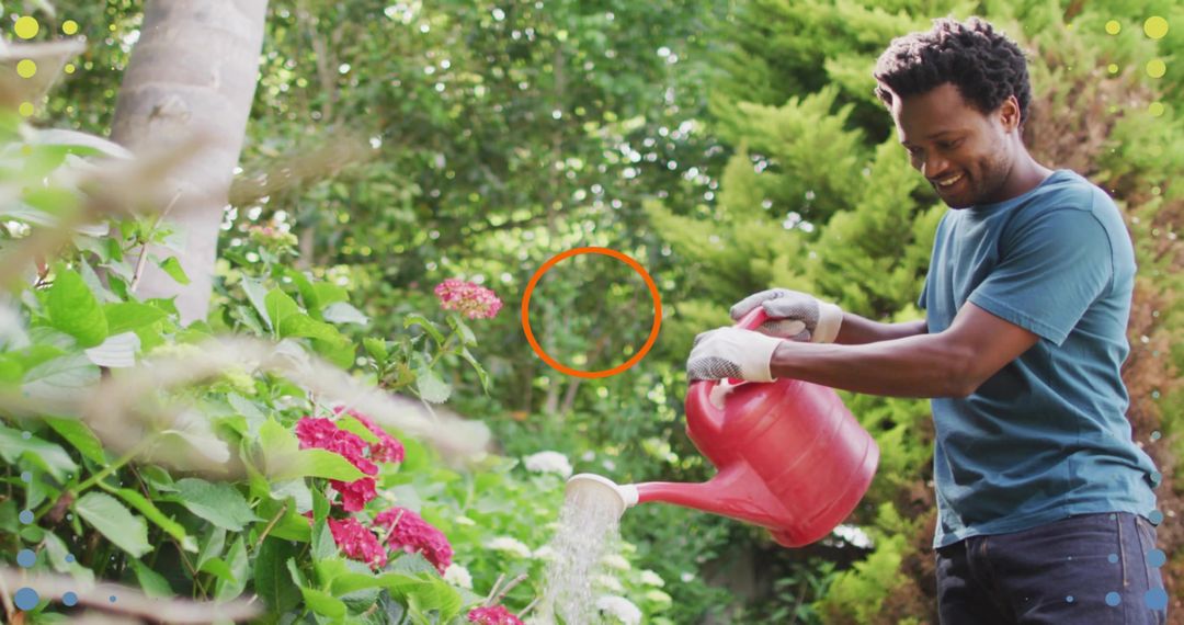 Man watering hydrangeas with red watering can in sunny backyard garden, smiling