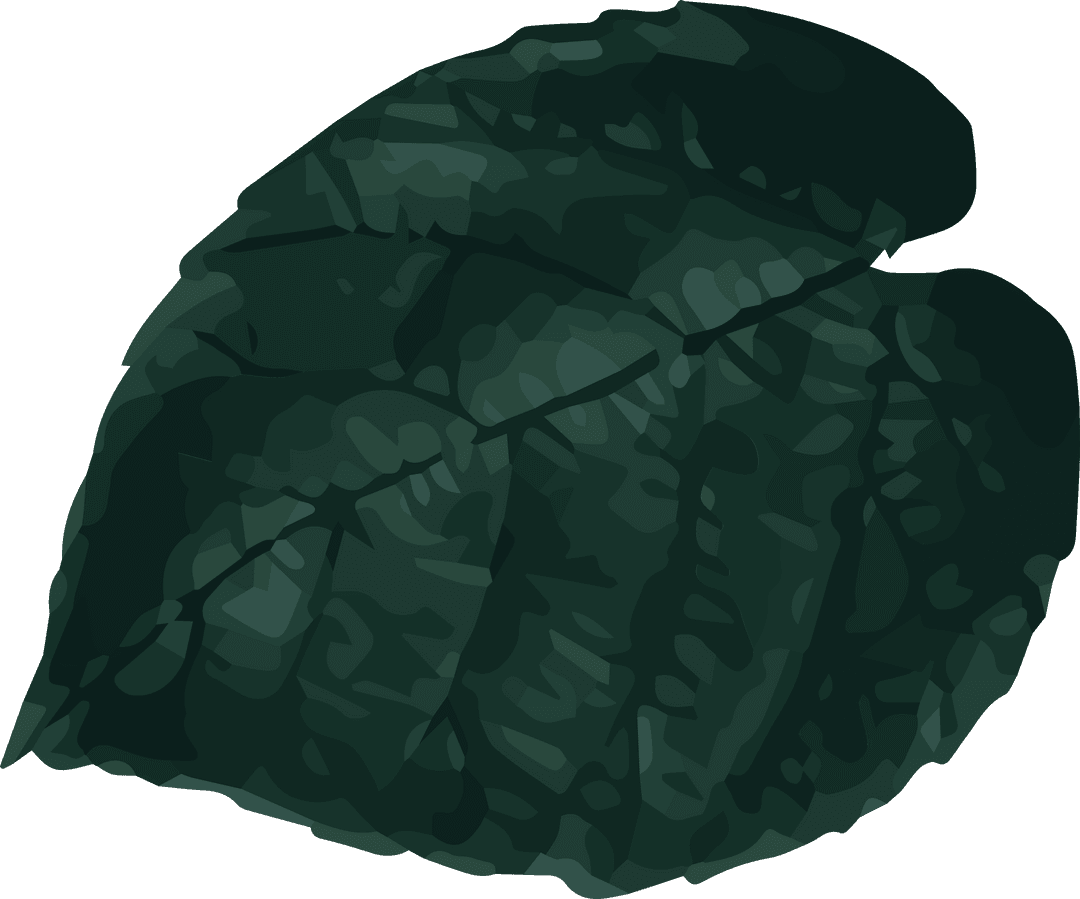 Stylized Green Tropical Leaf on Transparent Background