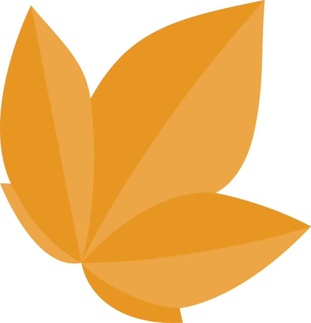 Abstract Orange Petals on Transparent Background, Modern Botanical Design