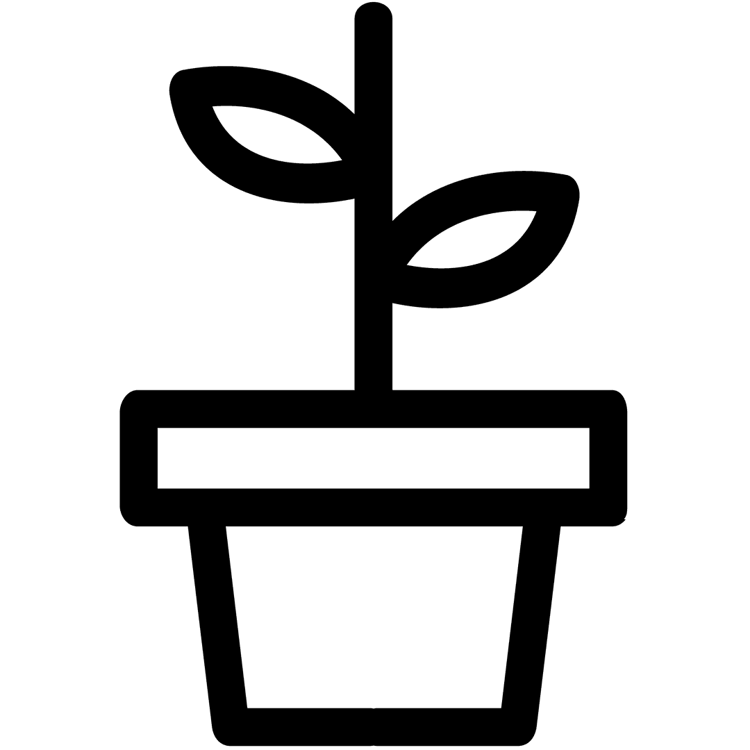 Vector Plant Potted on Transparent Background Black Line Illustration