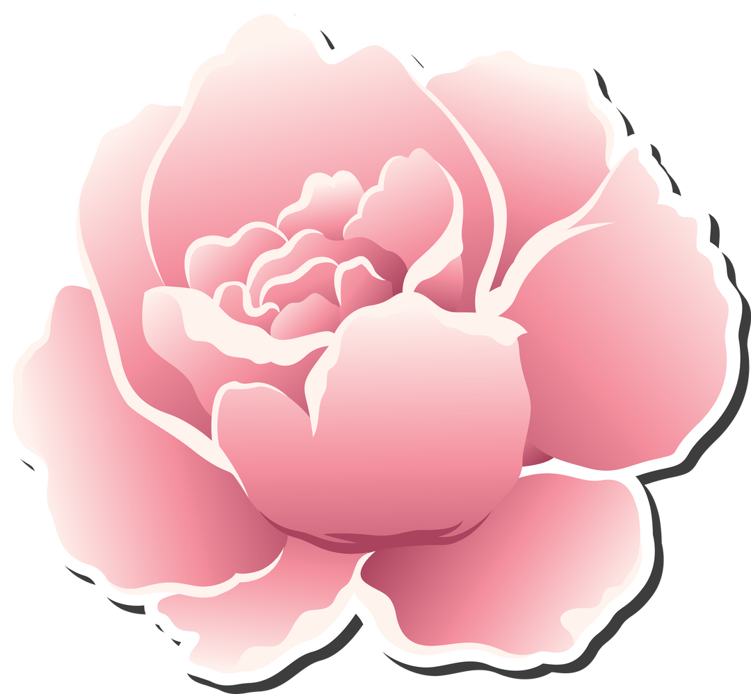 Transparent Pink Rose Illustration on Transparent Background - Download Free Stock Images Pikwizard.com