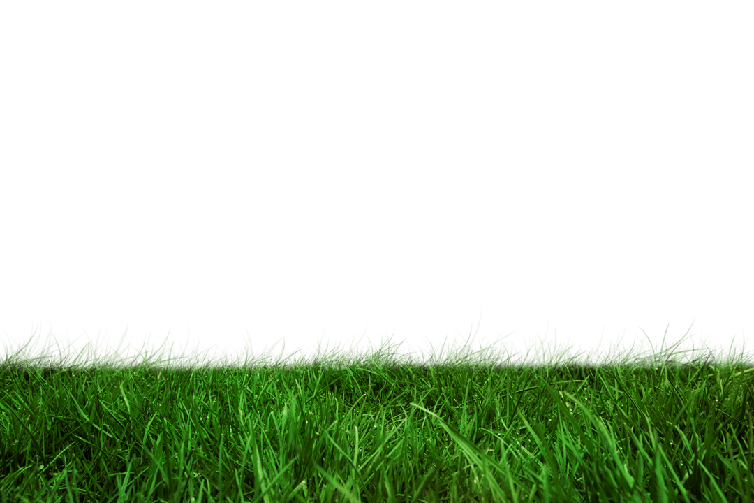 Fresh Green Grass on Transparent Background for Nature Projects