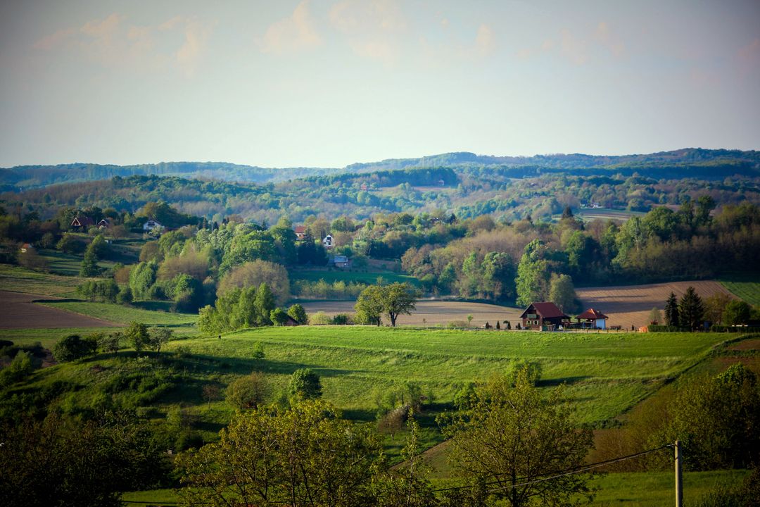 Panoramic View of Verdant Rolling Hills in the Countryside - Free Images, Stock Photos and Pictures on Pikwizard.com