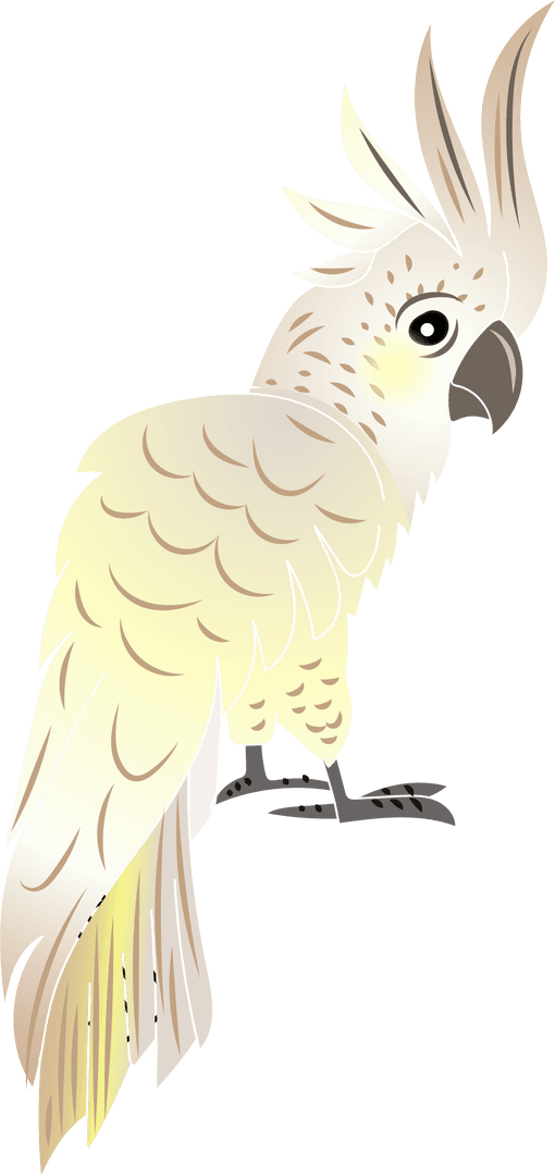 Elegant Cockatoo with Yellow Crest Standing on Transparent Background