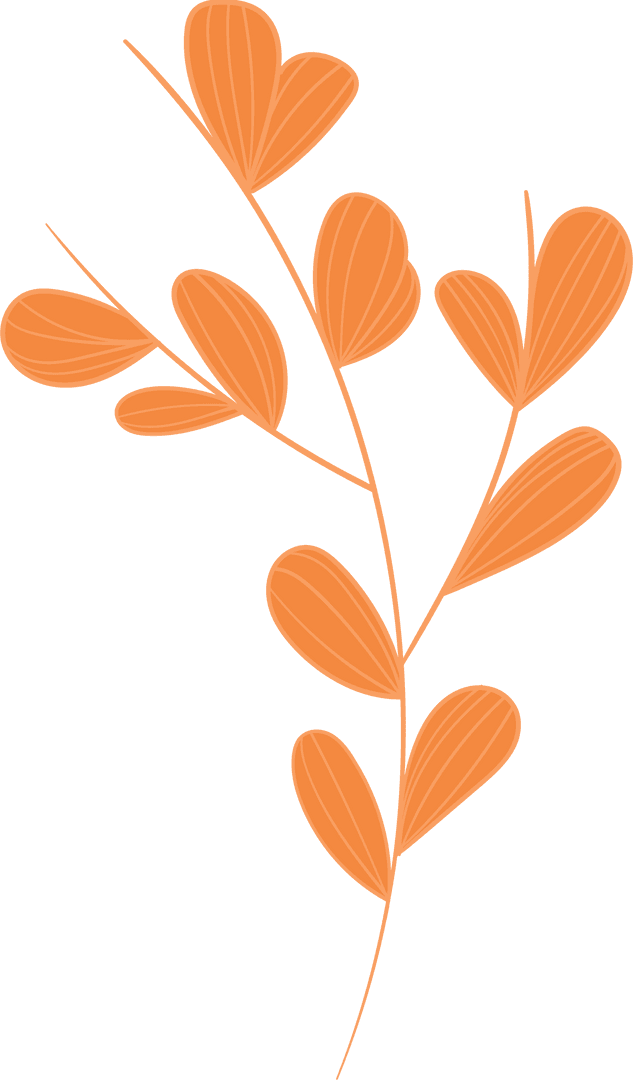 Abstract Orange Branch Illustration on Transparent Background