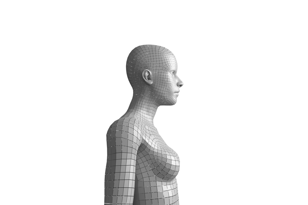 Transparent 3D Model of Woman for Computing and Digital Modeling - Download Free Stock Images Pikwizard.com