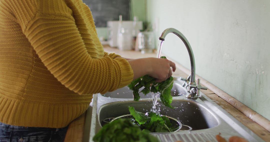 Close-Up of Person Washing Fresh Lettuce in Kitchen Sink - Free Images, Stock Photos and Pictures on Pikwizard.com