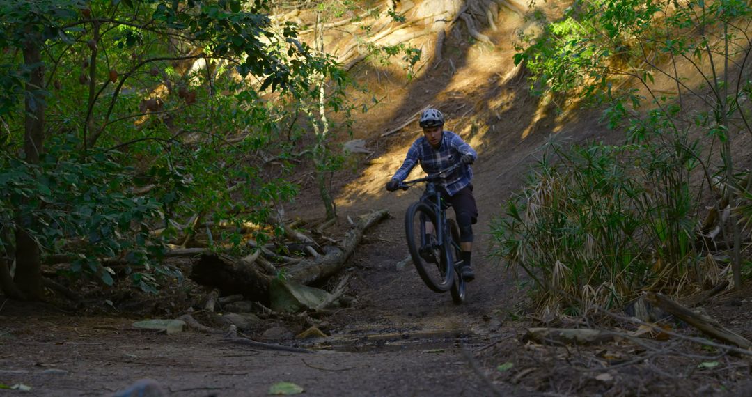 Mountain Biker Riding Through Forest Trail in Afternoon Light - Free Images, Stock Photos and Pictures on Pikwizard.com