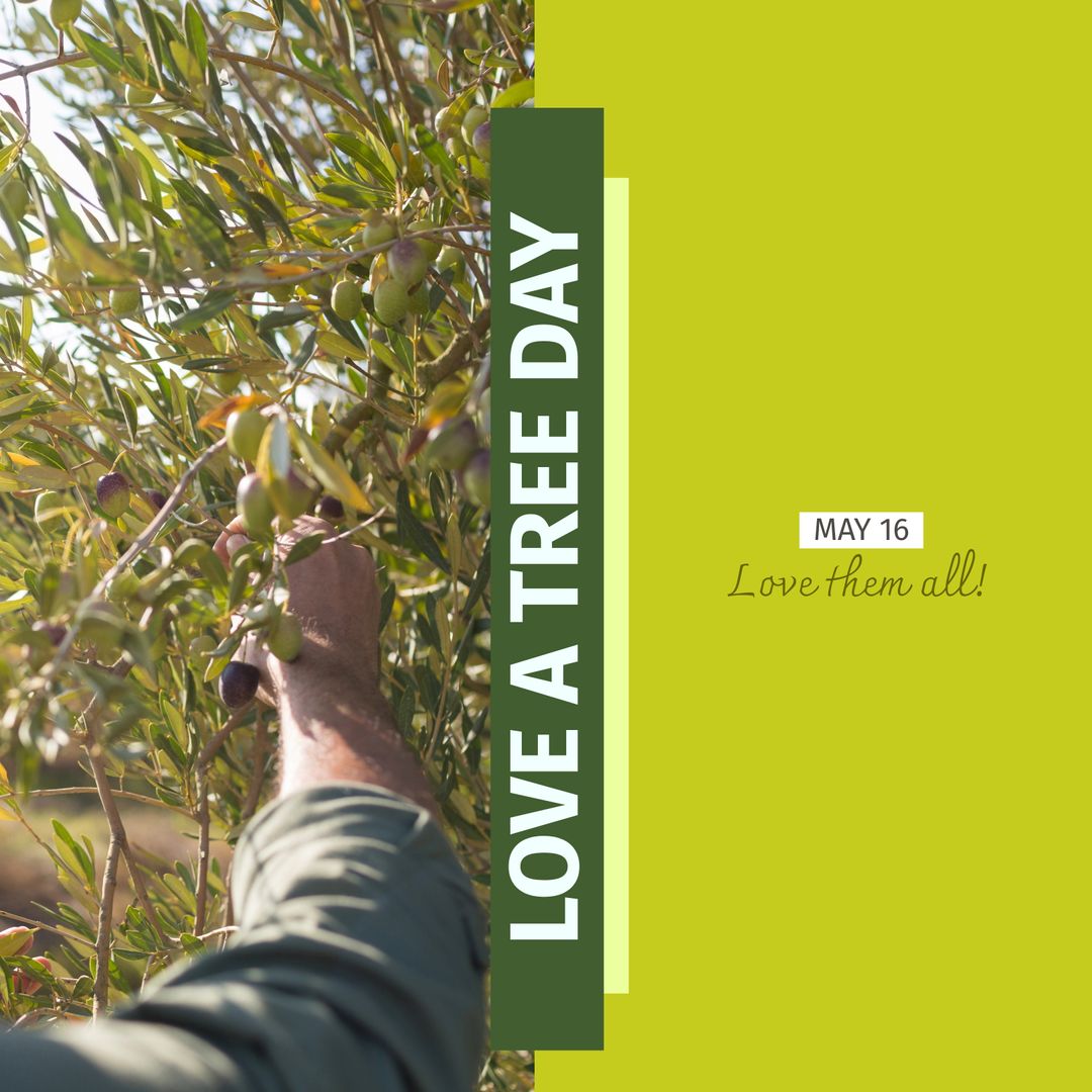 Love a Tree Day Observance with Harvesting Theme