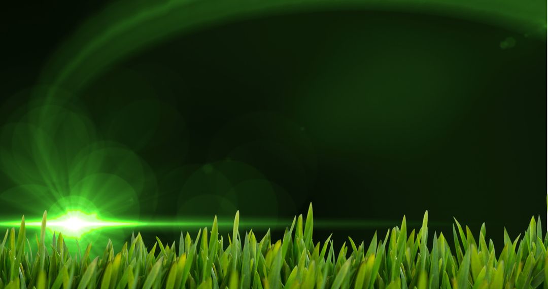 Digital Countdown Animation with Futuristic Grass Background
