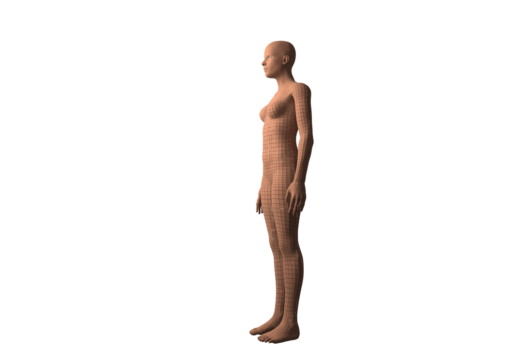Transparent Full Body 3D Female Model in Profile View