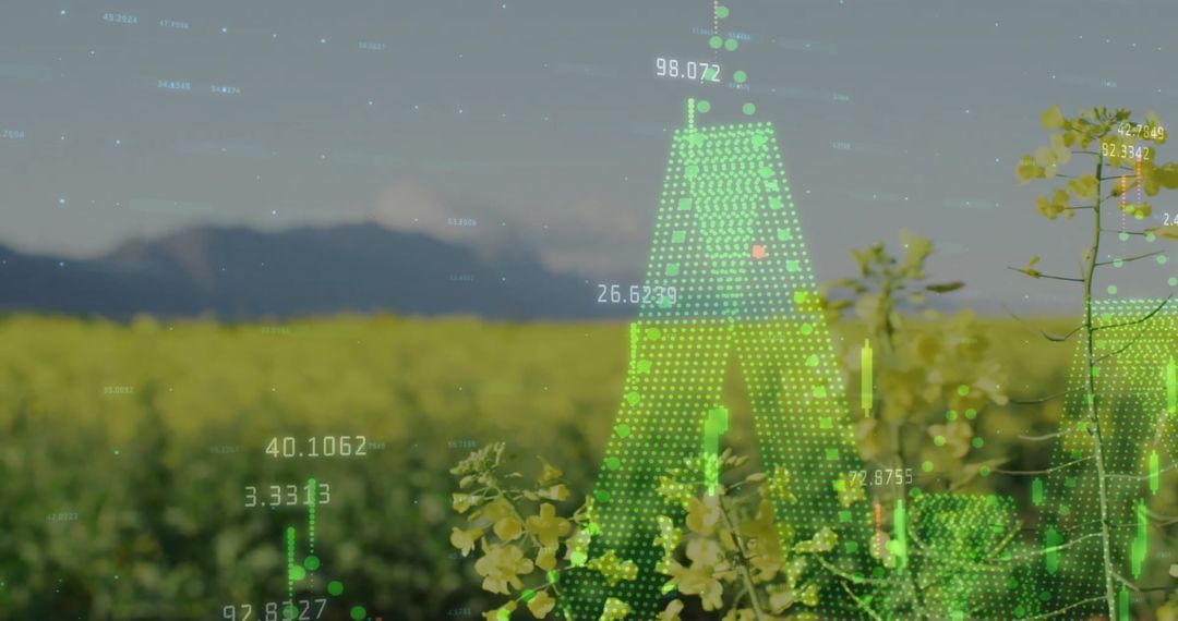 Futuristic Data Integration in Nature with Digital Interface