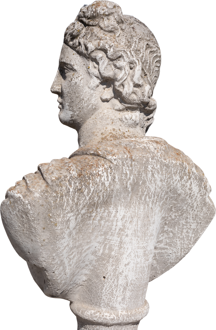 Weathered Ancient Sculpture Man Bust Classical Style Transparent Background - Download Free Stock Images Pikwizard.com