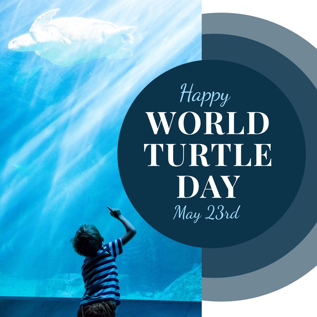World Turtle Day Celebration Underwater with Curious Boy Observing Turtle