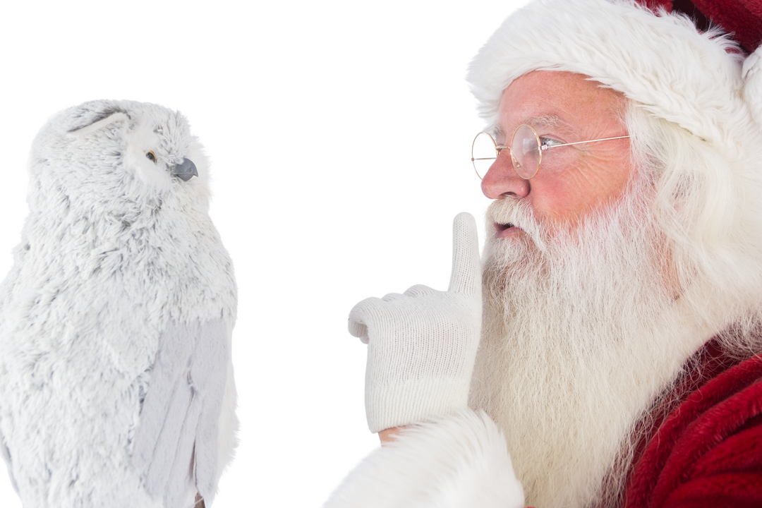 Transparent Father Christmas with Finger on Lips and Owl - Download Free Stock Images Pikwizard.com