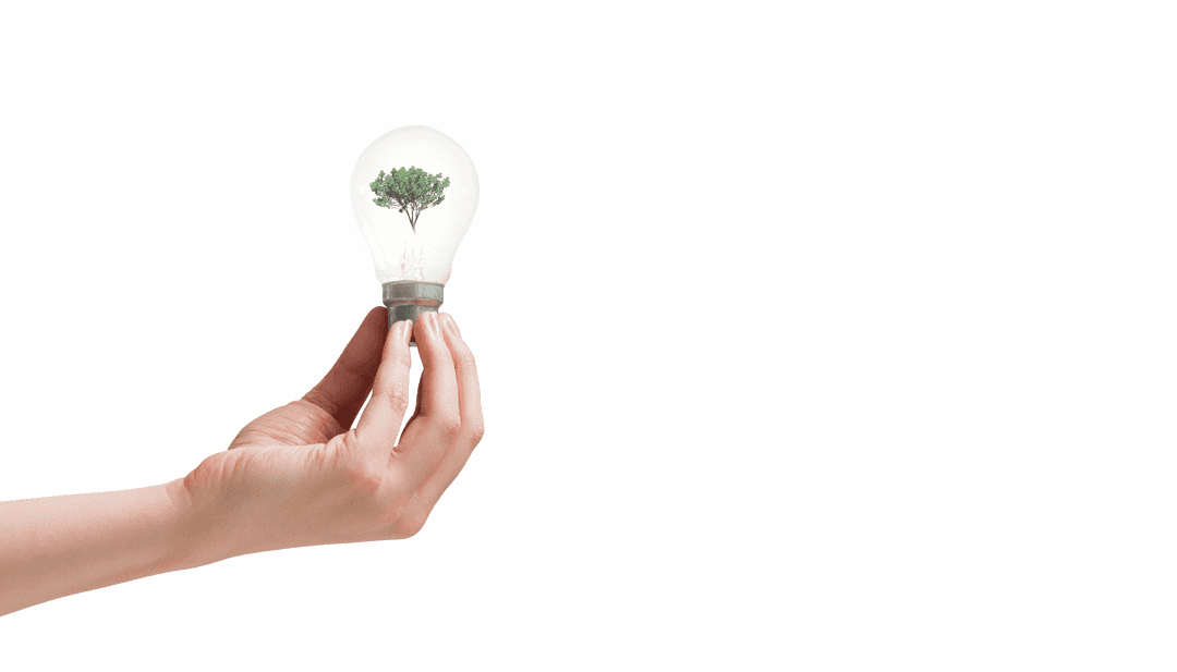 Hand Holding Light Bulb with Tree Inside on Transparent Background Vector