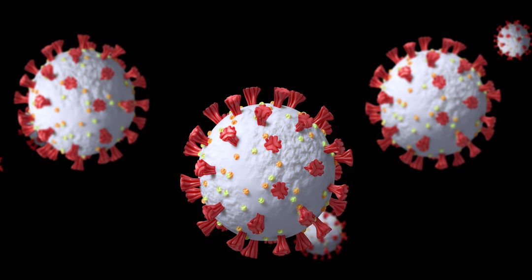 Macro Detailed 3D Models of Coronavirus Particles
