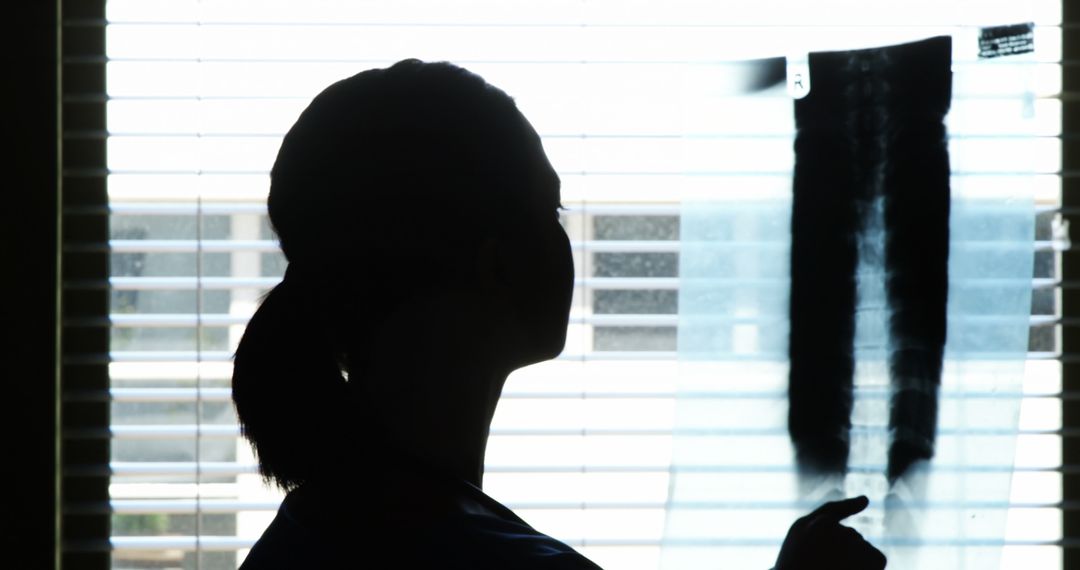 Silhouette of Female Doctor Examining X-Ray Film - Free Images, Stock Photos and Pictures on Pikwizard.com