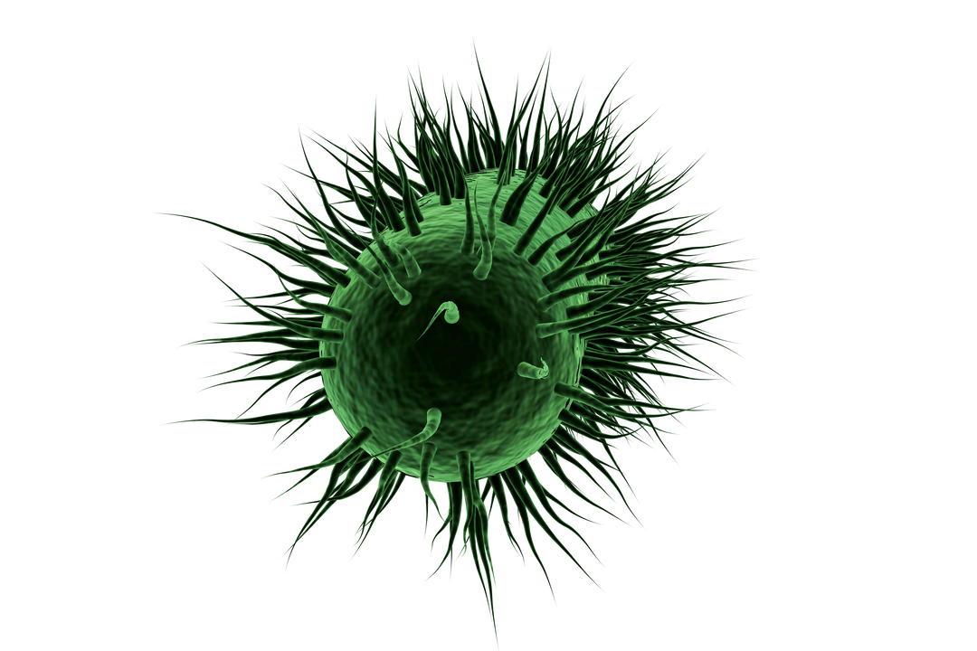 Green Viruses Illustration on Transparent Background for Health and Pandemic Use - Download Free Stock Images Pikwizard.com