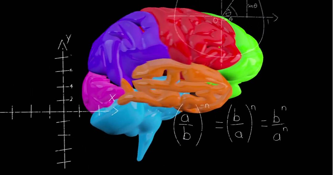 Colorful Brain Representation Over Math Equations