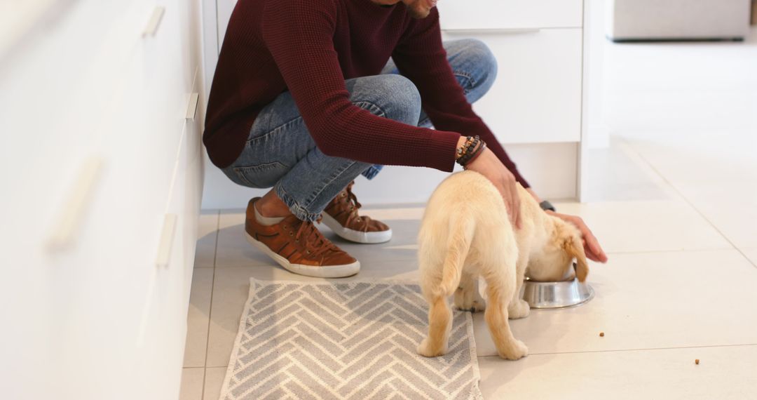 Man crouching and steadying puppy while feeding from bowl on modern tiled kitchen floor