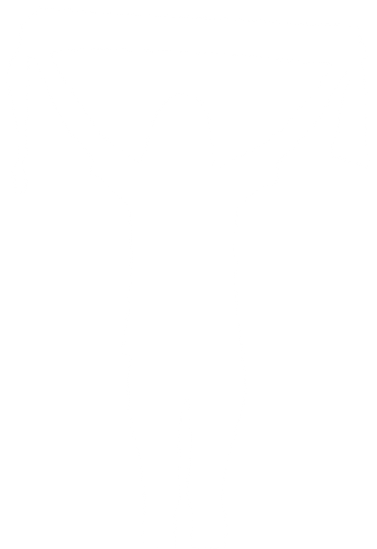 Transparent Digital Silhouette of Female Sports Fan Holding Scarf Over Head - Download Free Stock Images Pikwizard.com