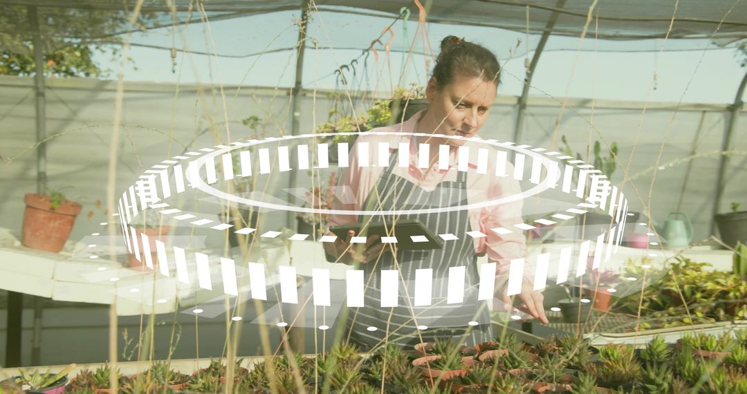 Female Gardener Using Tablet with Digital Overlay in Greenhouse