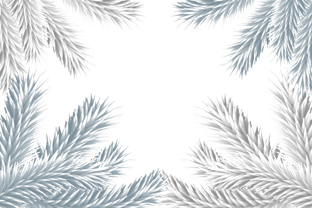 Frosty Fir Tree Branches Creating Transparent Frame - Download Free Stock Images Pikwizard.com