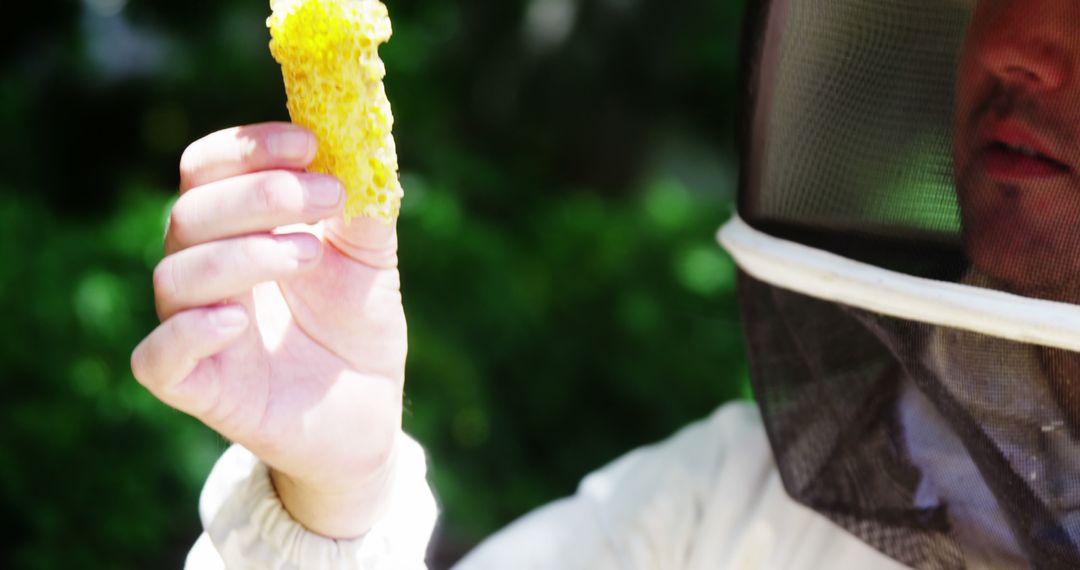 Beekeeper Examining Honey Comb in Sunny Garden - Free Images, Stock Photos and Pictures on Pikwizard.com