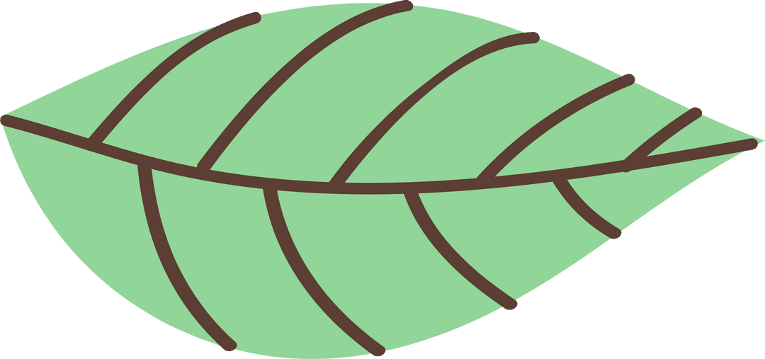 Minimalist Green Flat-design Leaf with Transparent Background