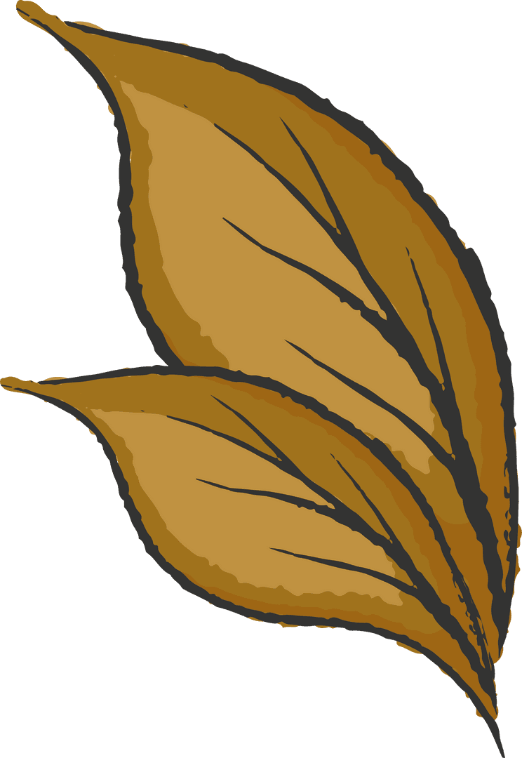 Golden Leaf Pair with Veins on Transparent Background