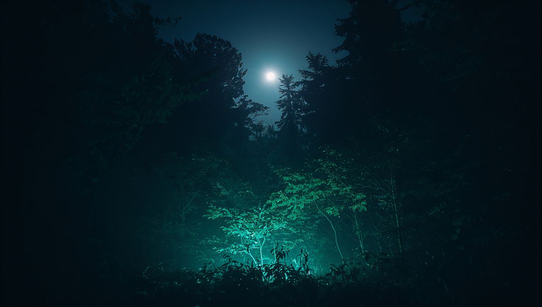 Eerie Moonlit Forest with Glow-In-Dark Shrubs