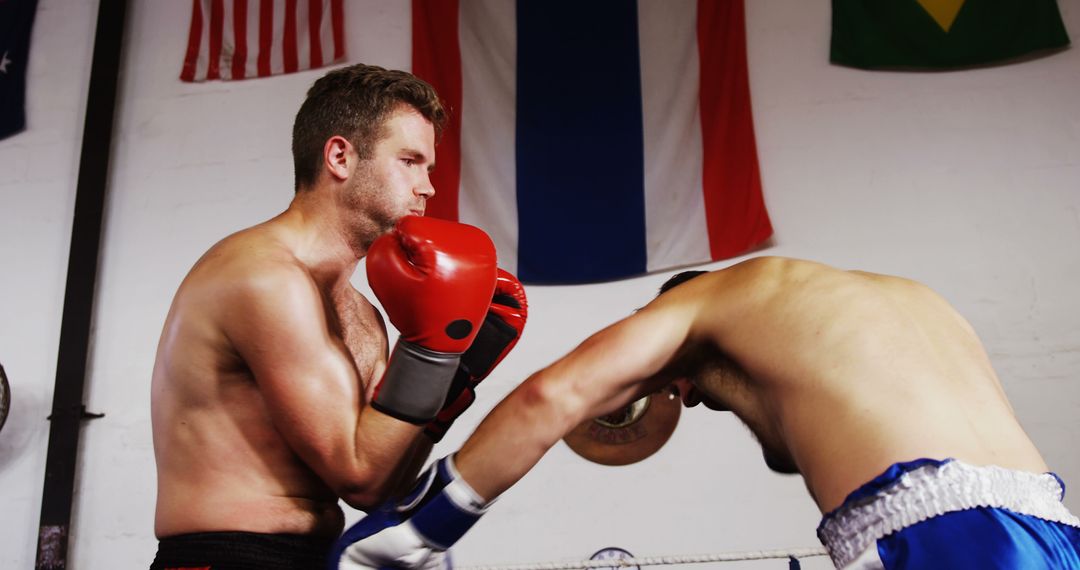 Boxers Sparring in Gym Under International Flags - Free Images, Stock Photos and Pictures on Pikwizard.com