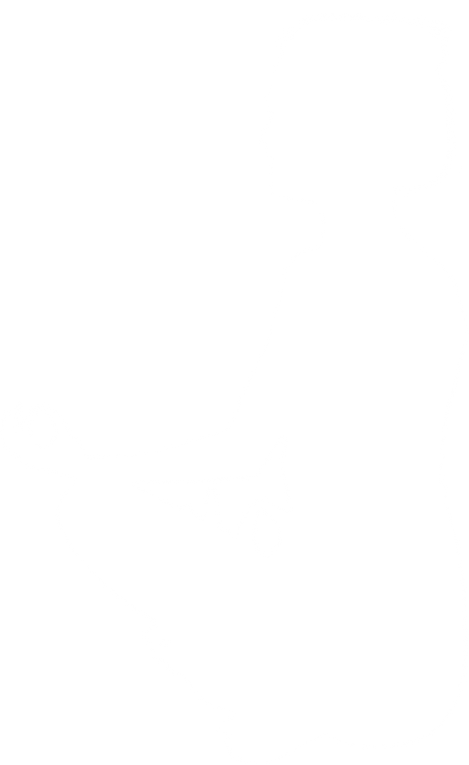 Silhouette of Transparent Woman Practicing Meditation in Lotus Pose - Download Free Stock Images Pikwizard.com