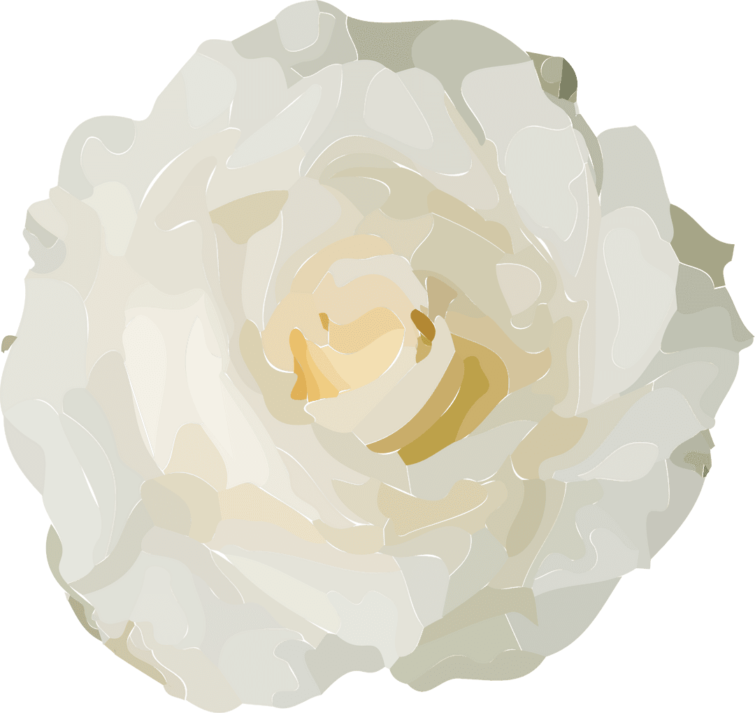 Transparent Beige Rose Petal Illustration with Copy Space