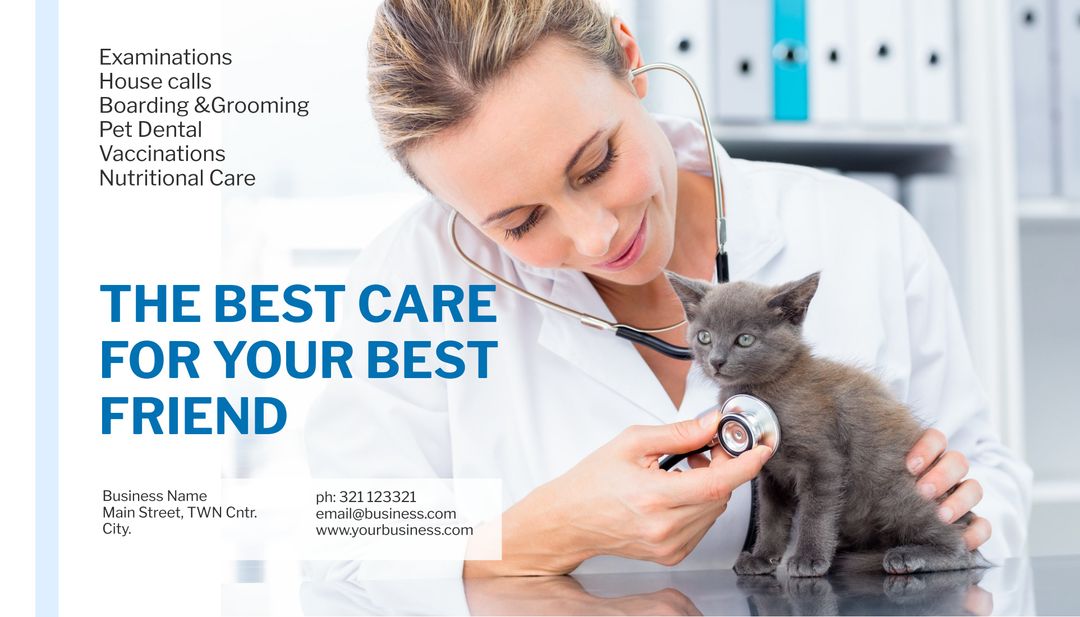 Veterinarian examining kitten for pet care campaigns