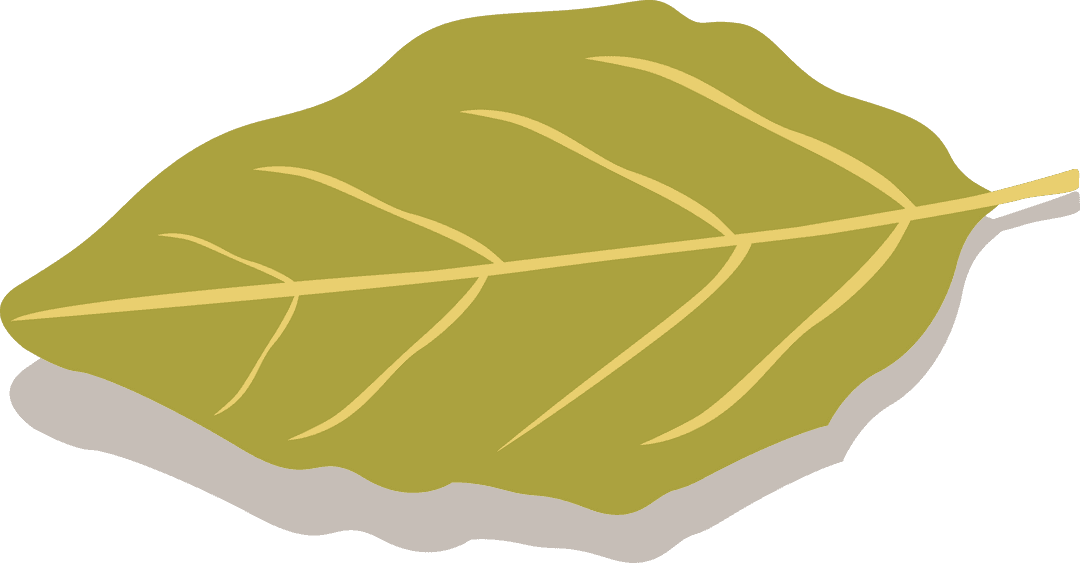 Stylized Green Leaf with Transparent Background for Eco-Friendly Design