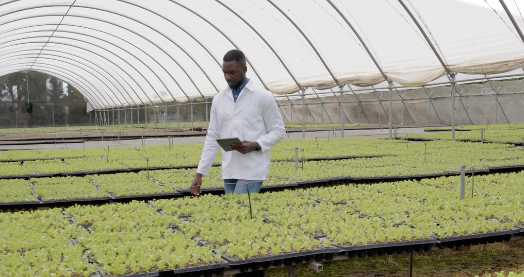 Botanist in Greenhouse Examining Seedlings with Tablet