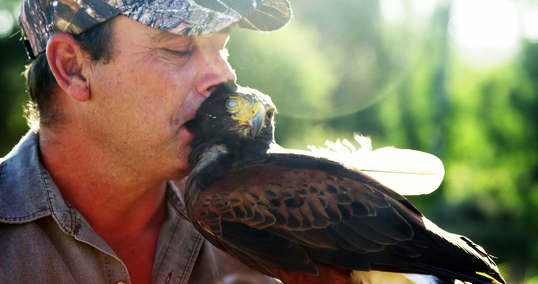 Man Interacting with Harris's Hawk in Outdoor Setting - Free Images, Stock Photos and Pictures on Pikwizard.com