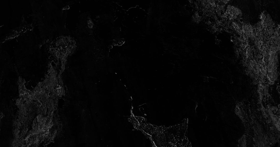 Dynamic Abstract Black Texture with Organic Shapes