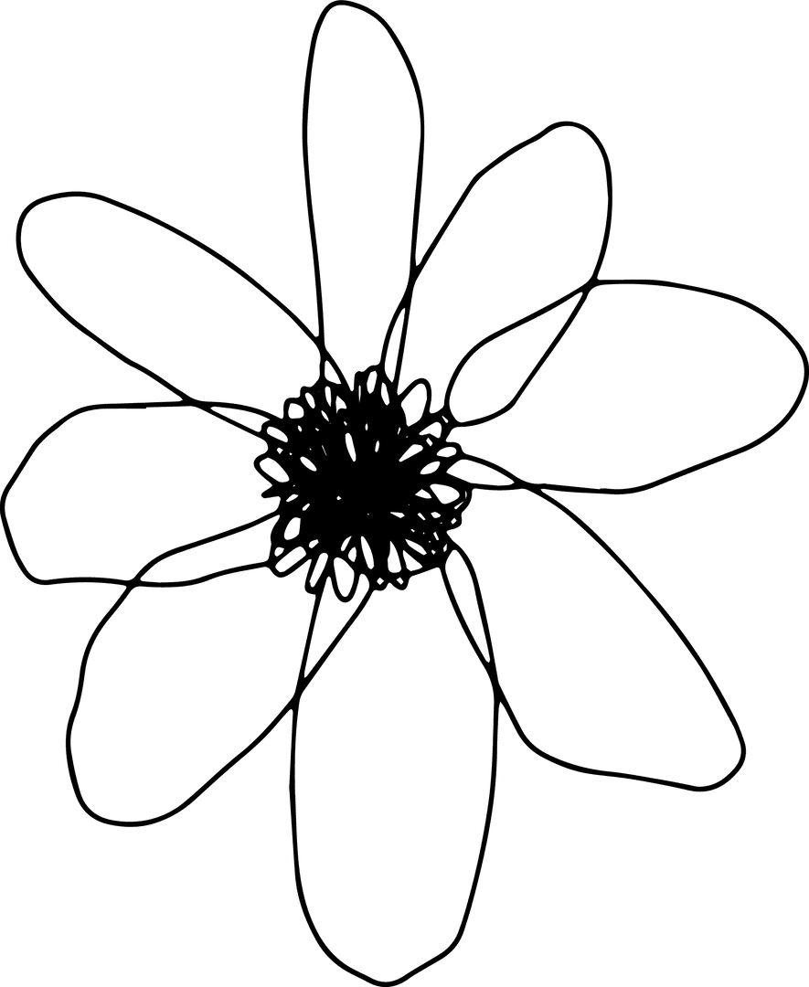 Transparent Stylized Flower with Scribbled Center Minimal Line Art