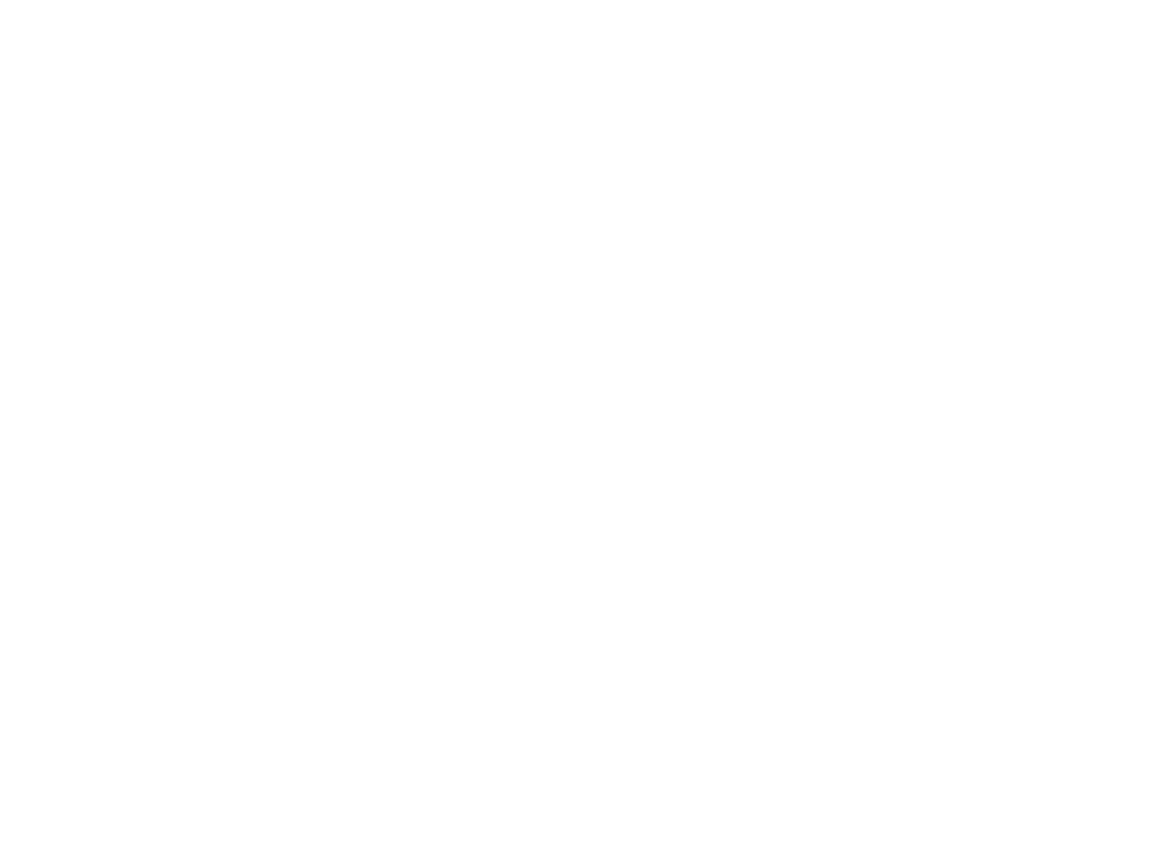 Silhouette of American Football Player on Transparent Background, Isolated Vector - Download Free Stock Images Pikwizard.com