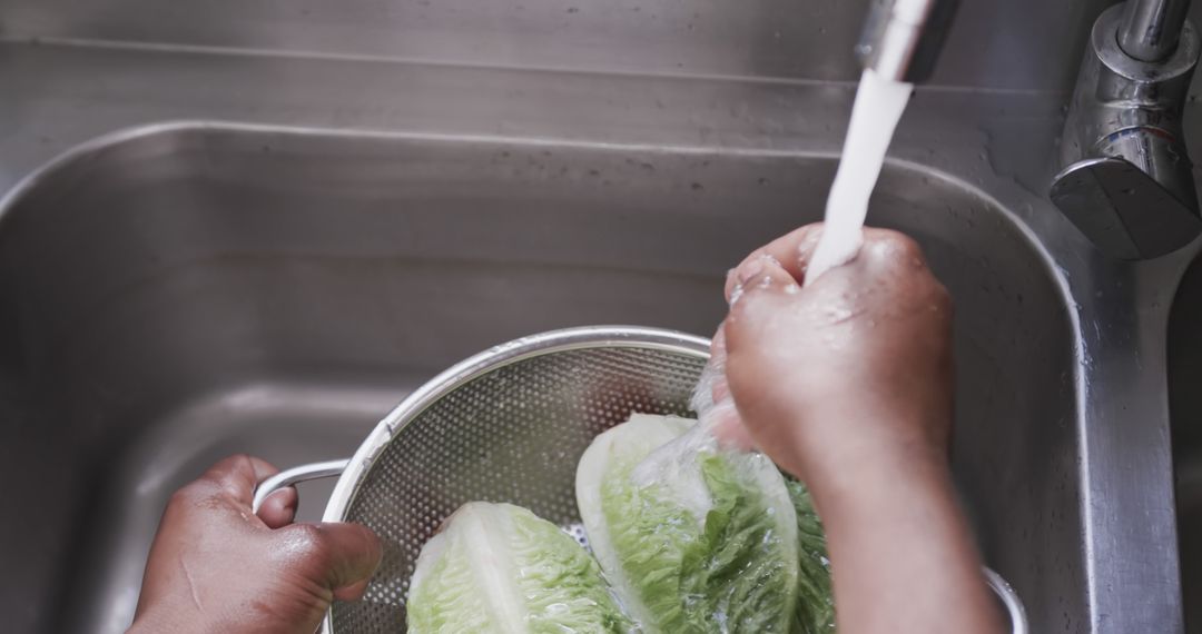 Hands Washing Lettuce in Stainless Steel Sink Under Running Water - Free Images, Stock Photos and Pictures on Pikwizard.com