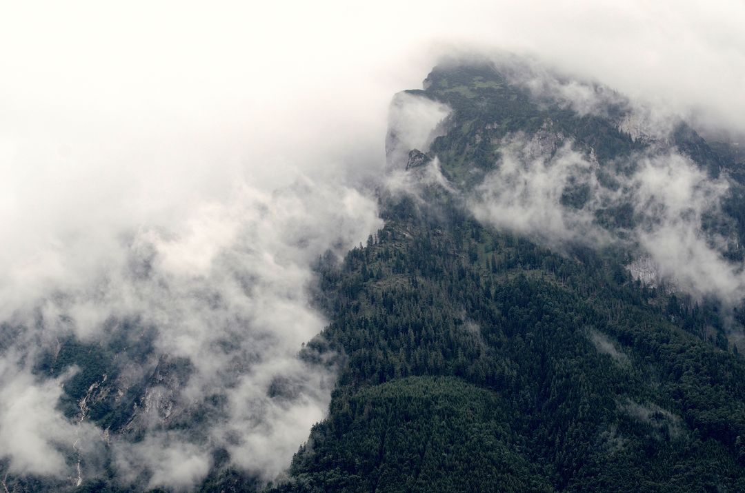 Misty Mountains with Dense Forest and Low Hanging Clouds - Free Images, Stock Photos and Pictures on Pikwizard.com